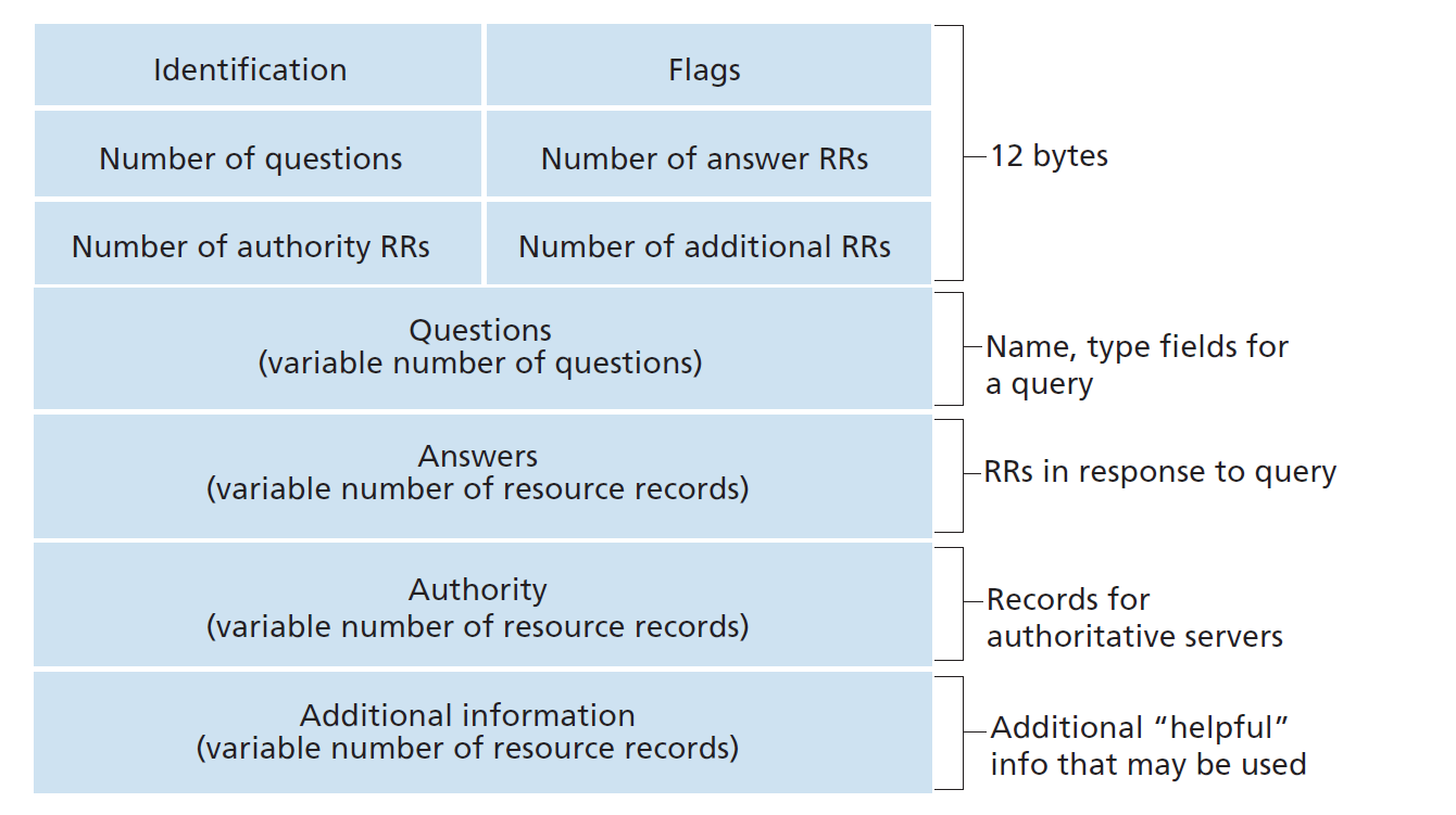 DNS Packet Structure